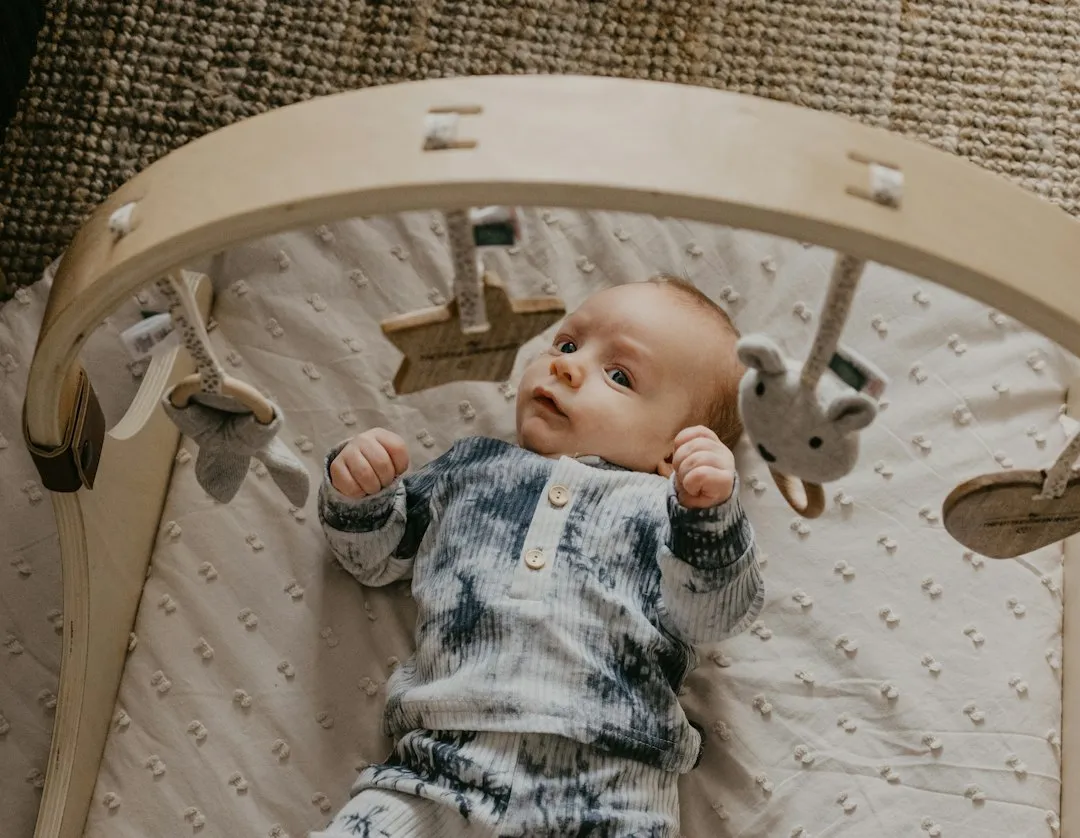 EBH母婴时代解读：共享智能游乐园如何重塑婴幼儿摇摇车行业新生态正文配图 2